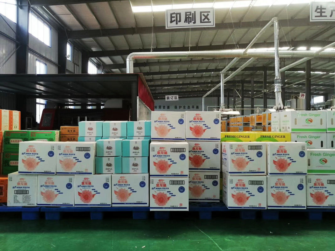 PLC Control 10MM Corrugated Carton Box Making Machine With Extruder